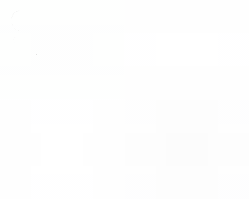 Animation-1736652440692.gif