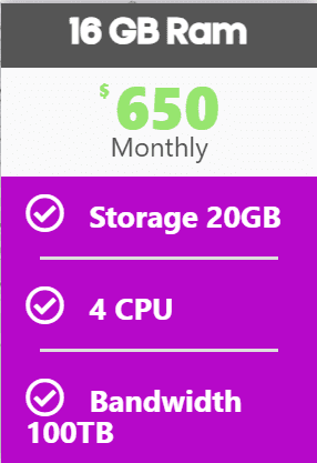 16 GB RAM - Storage 384 GB - 4 CPU - 100 TB Bandwidth