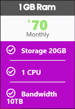1 GB RAM - Storage 20 GB - 1 CPU - 10 TB Bandwidth