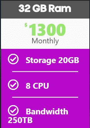 32 GB RAM - Storage 512 GB - 8 CPU - 200 TB Bandwidth